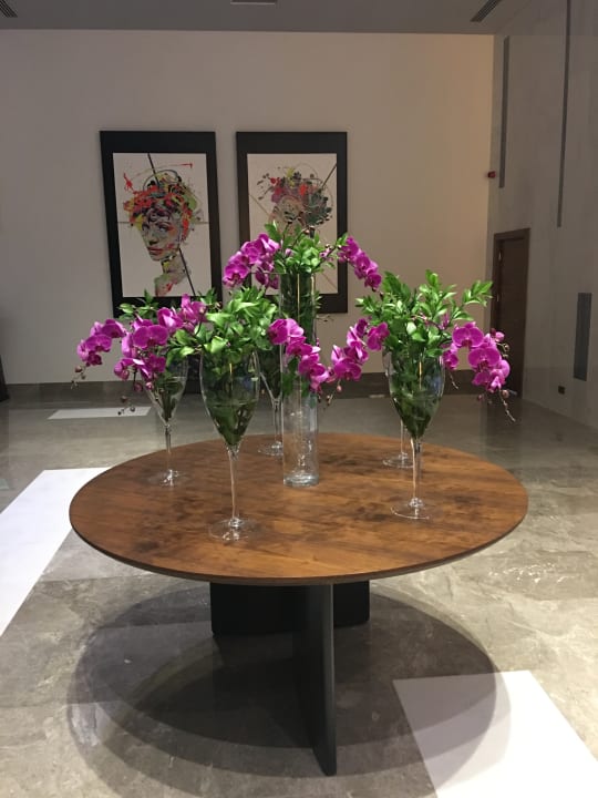 Lobby Acanthus Cennet Barut Collection