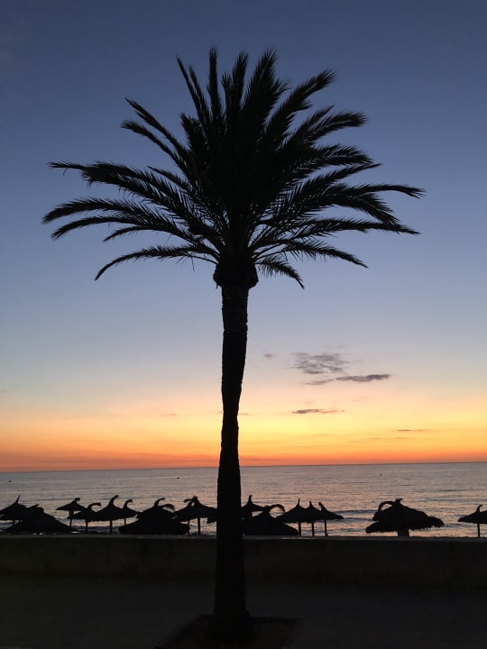 Strand allsun Hotel Borneo - Adults only