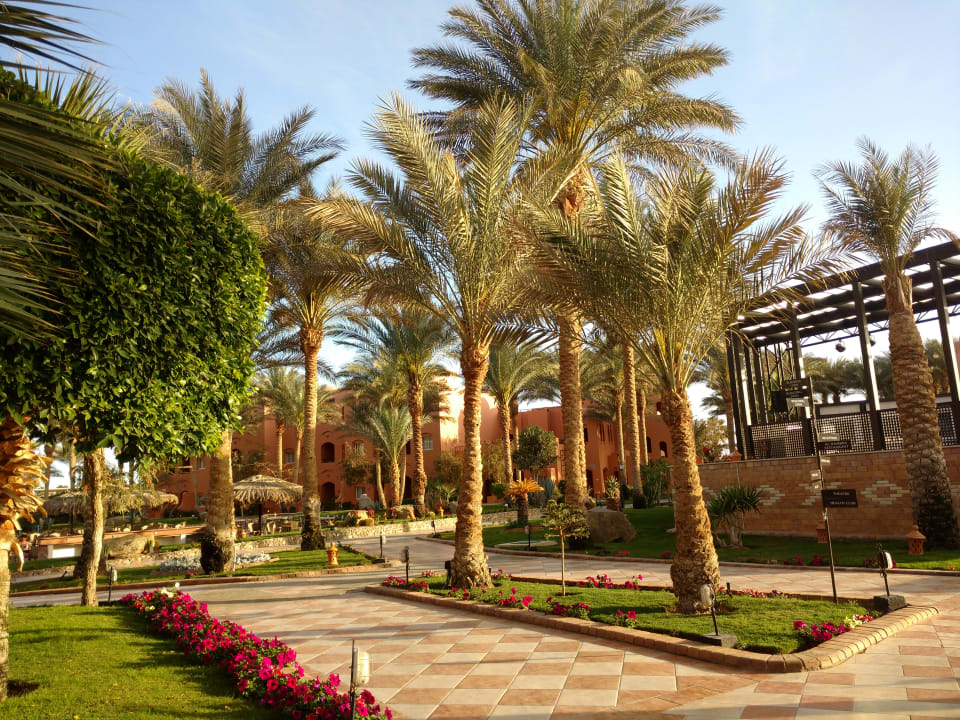 Gartenanlage Jaz Makadi Oasis Resort