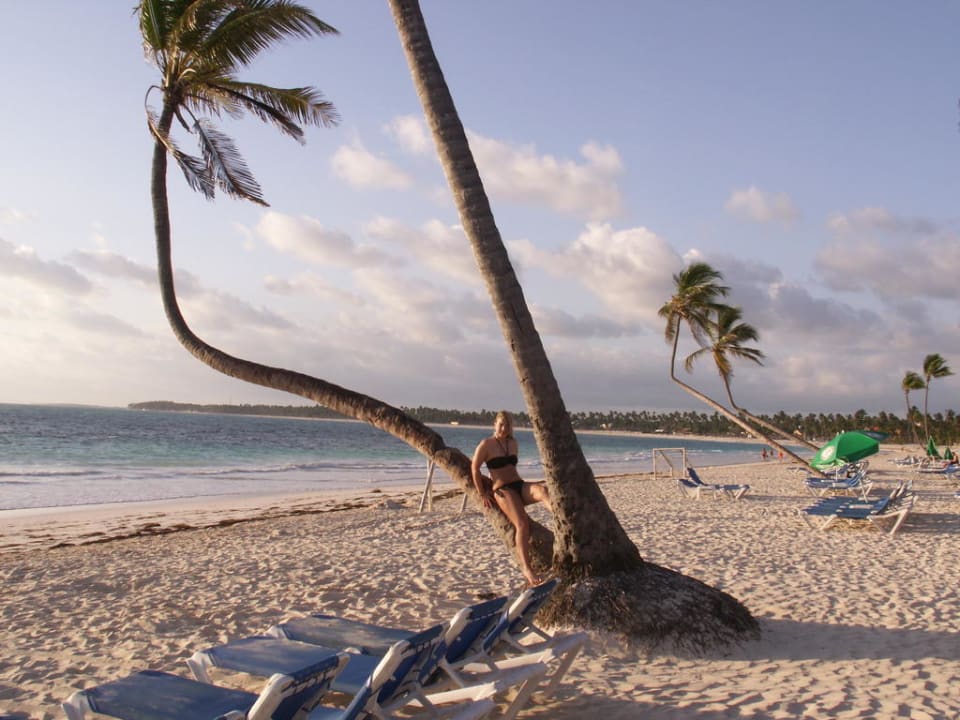 Schöner Hotelstrand Punta Cana Princess All Suites Resort & Spa