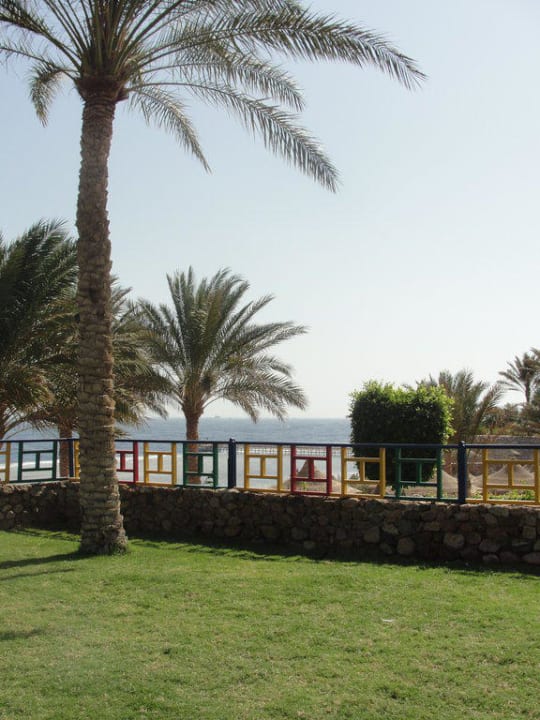 Ogród Hotel Nubian Village