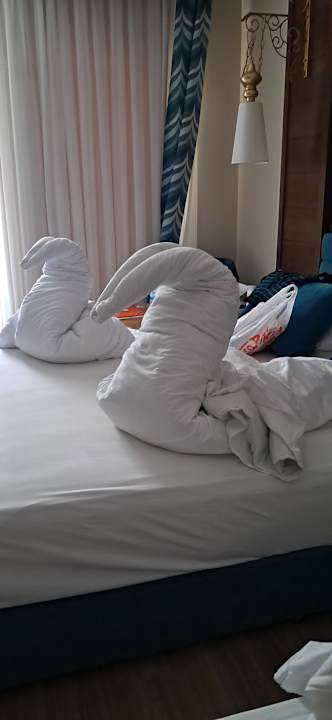 Zimmer Dream World Resort & Spa