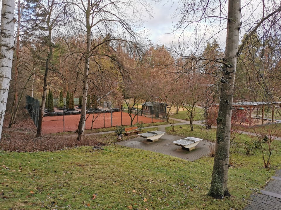 Sport & Freizeit Familotel Family Club Harz