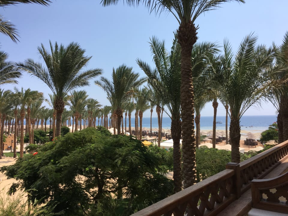 Gartenanlage Makadi Spa - Adults only