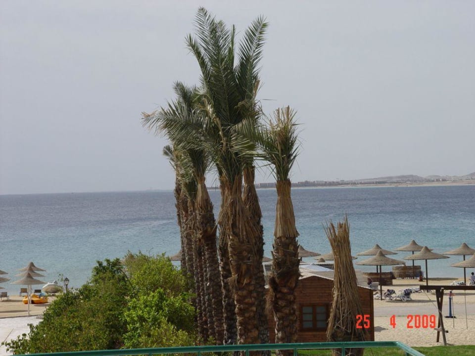 Old Palace Resort Sahl Hasheesh Old Palace Resort Sahl Hasheesh