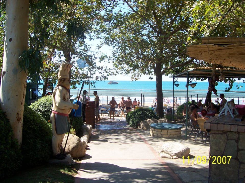 Weg zum Strand Side Star Elegance