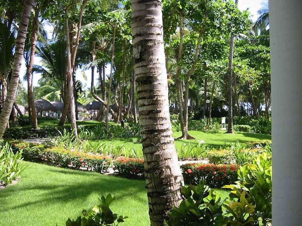Garten um die Wohnbungalows/Zimmer Hotel Riu Palace Bavaro