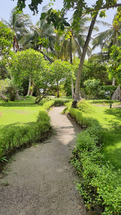 Gartenanlage Adaaran Select Meedhupparu Island Resort - Premium All Inclusive