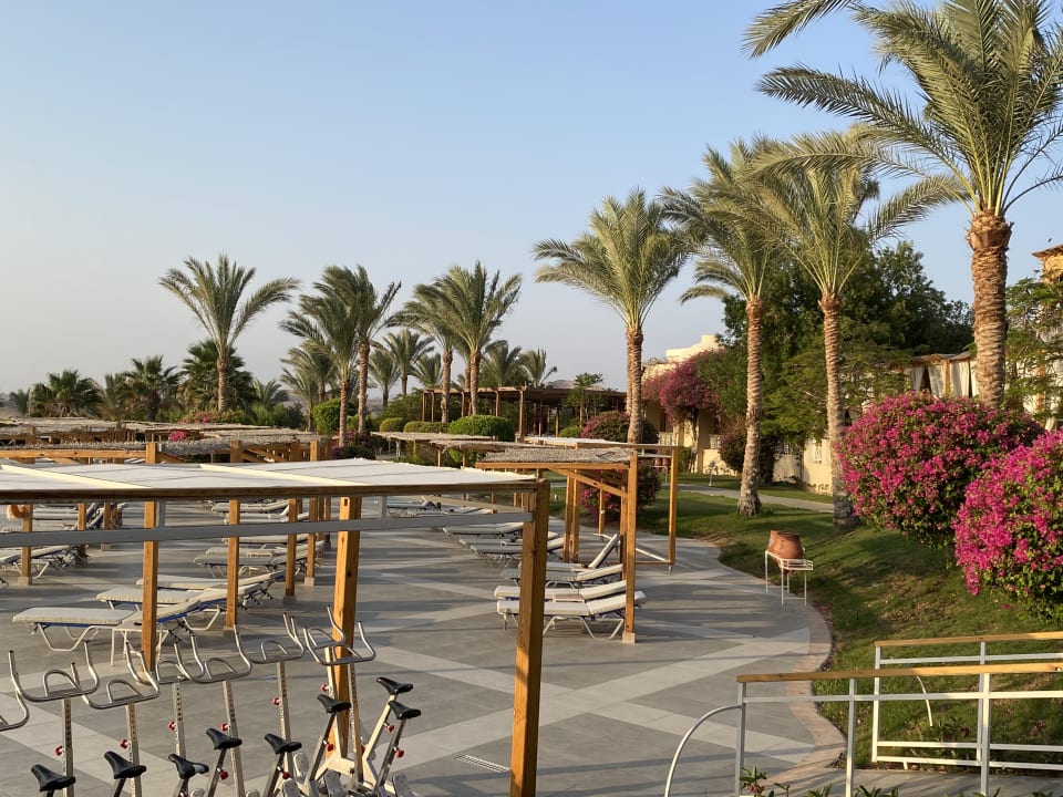 Ausblick TUI MAGIC LIFE Kalawy