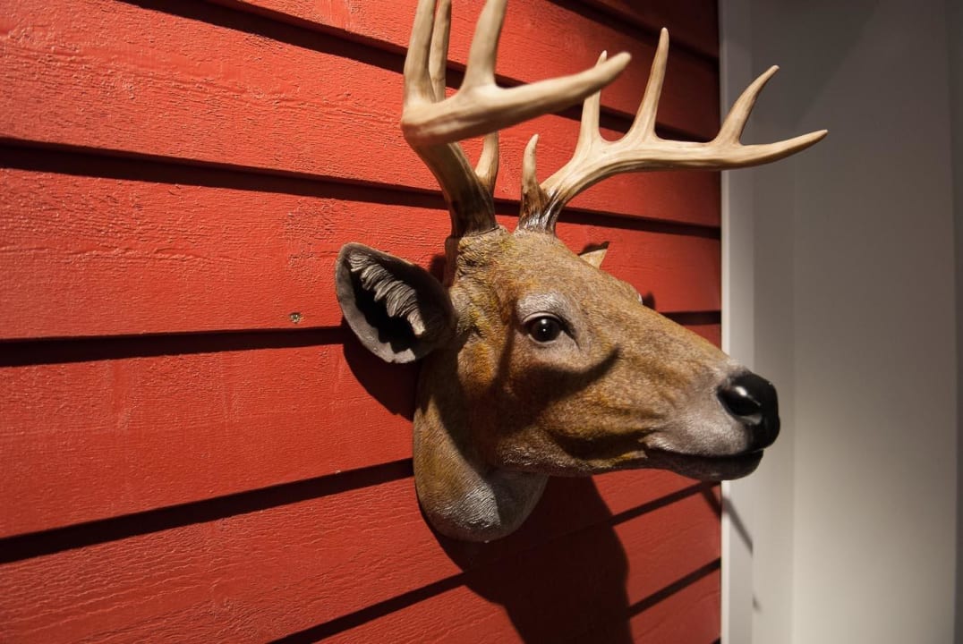 Dekoelch - grandios! Hotel Sprenz