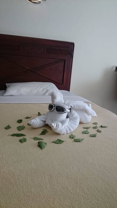 Kreatives Zimmerpersonal  Imperial Shams Abu Soma