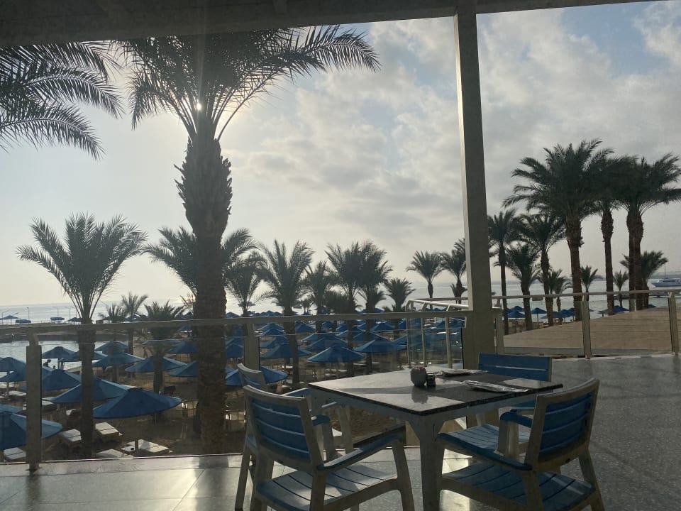 Gastro Beach Albatros Resort