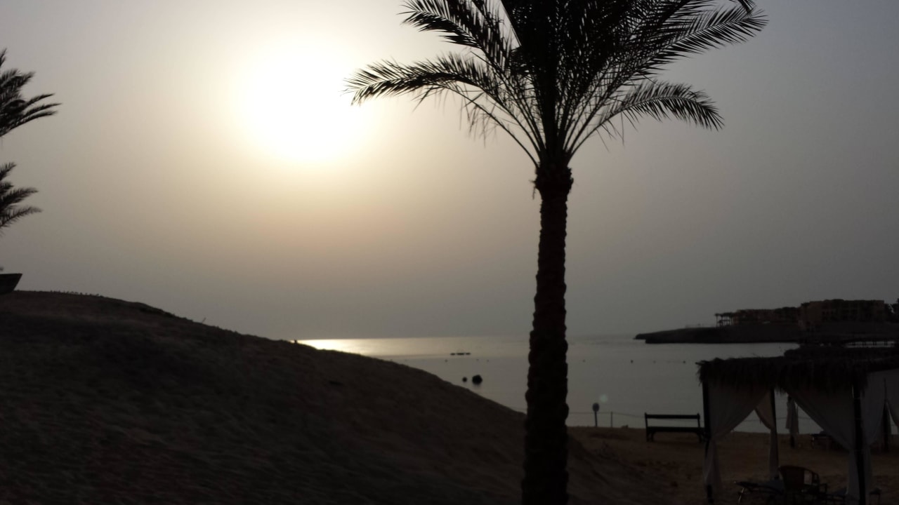 Sonneufgang Steigenberger Coraya Beach - Adults only