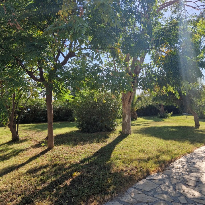 Gartenanlage Club Turtas Beach Hotel