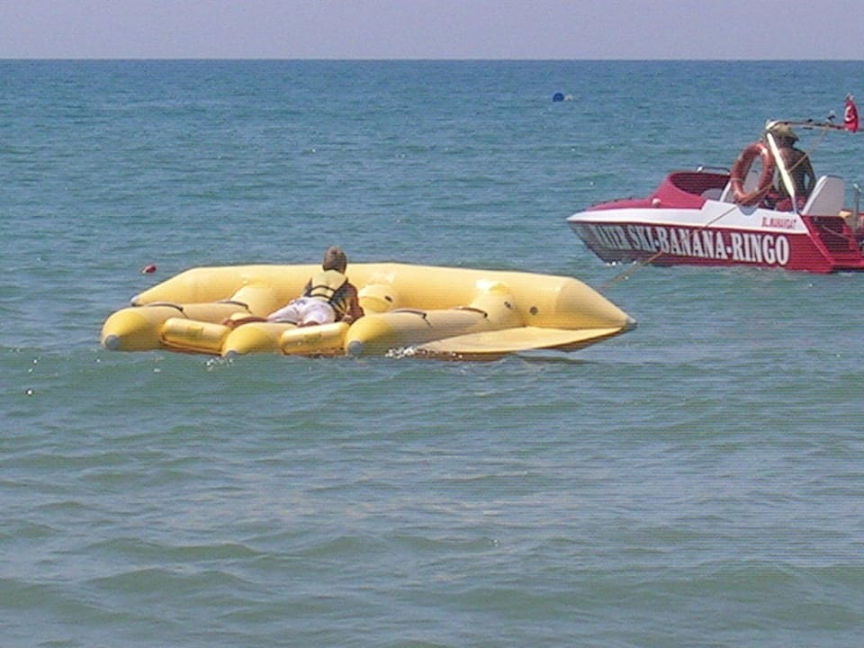 The Flying Fish Hane Family Resort