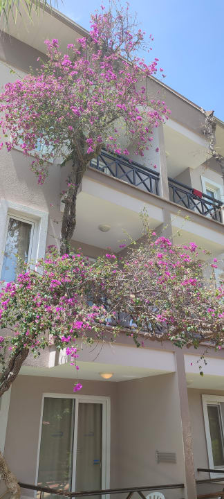 Gartenanlage Club Dizalya