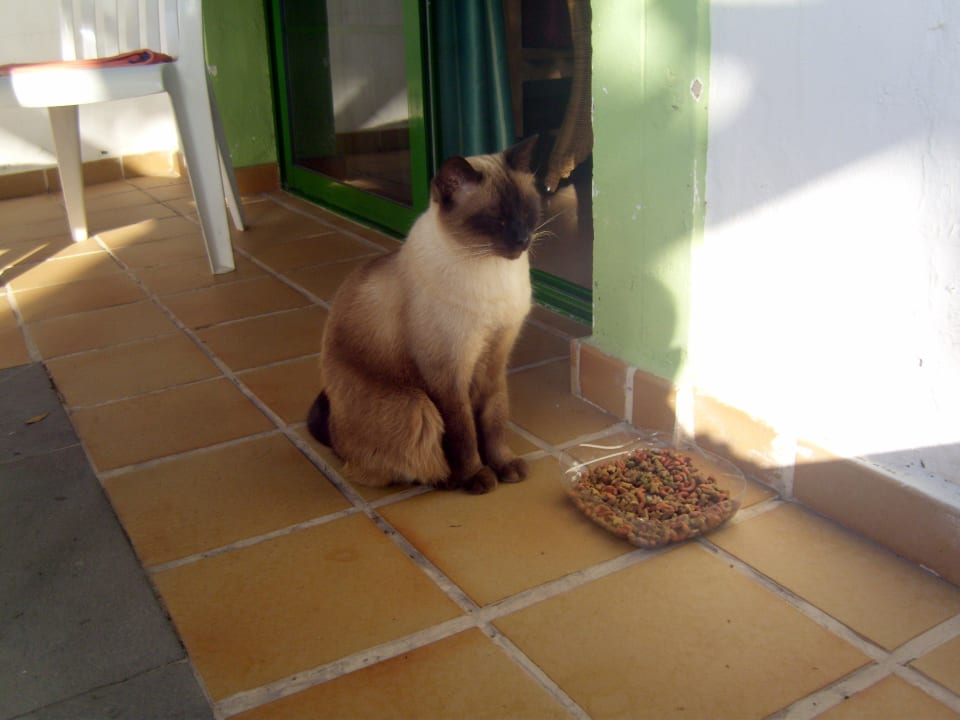 Mal sehen ob es sich lohnt Bungalows Cordial Sandy Golf