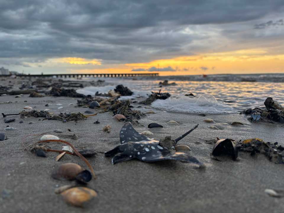 Strand Hotel Orient & Pacific