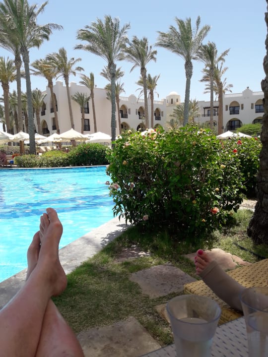 Pool Pickalbatros Palace Hotel-Port Ghalib