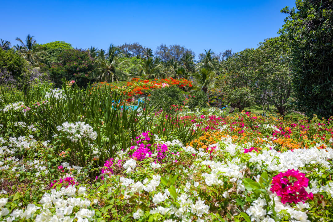 Gartenanlage Diani Sea Resort
