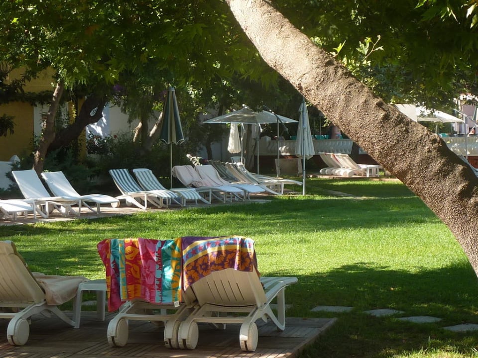 Gartenbereich mit Liegestühle Hotel Belcekiz Beach