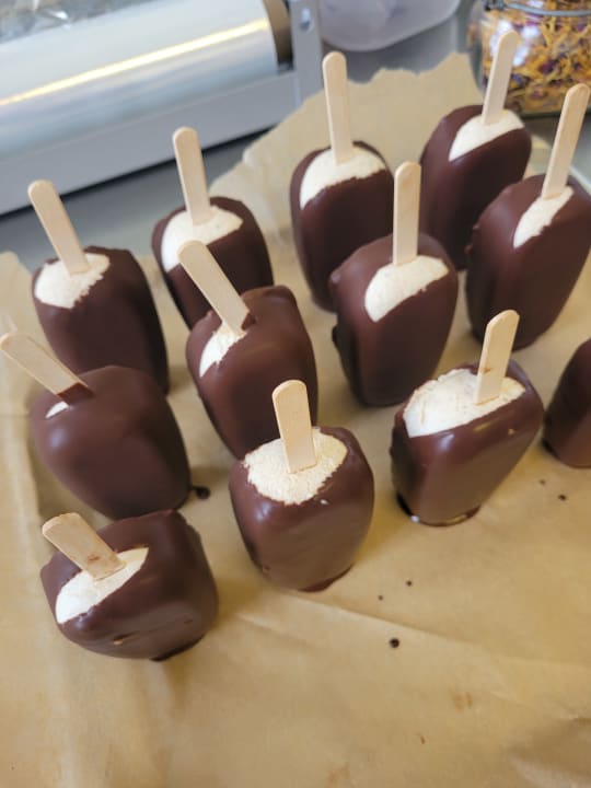 Gastro Kavaliershaus Suitehotel am Finckener See