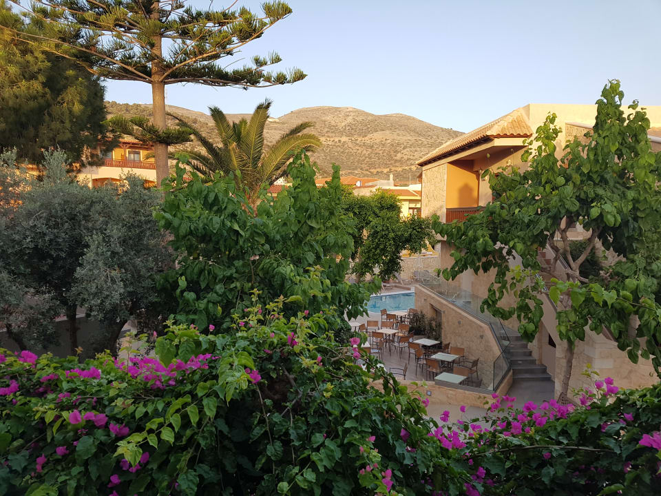 Sonstiges Cactus Beach