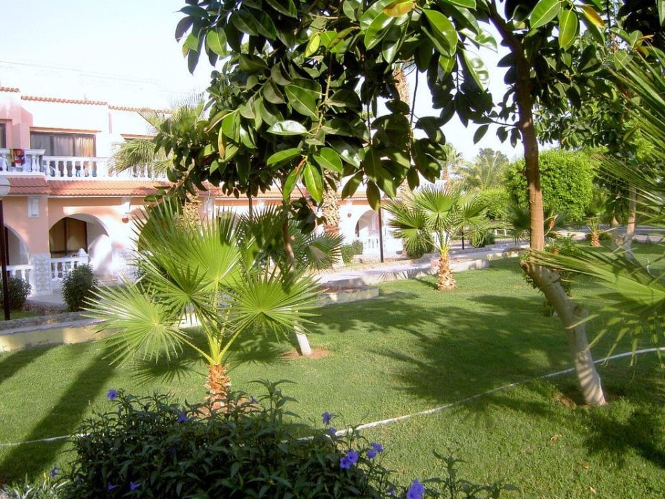 Bungalow Beach Albatros Resort
