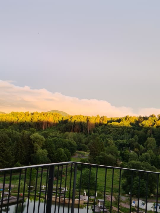 Ausblick Pfalzblick Wald Spa Resort