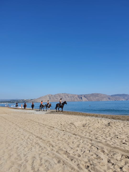 Strand Orpheas Resort - Adults Only