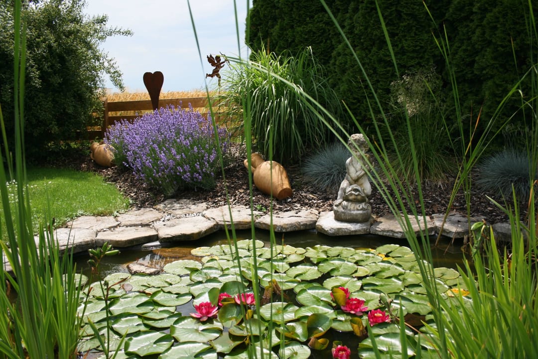 Gartenanlage Seerosenteich Aparthotel Der Wieserhof
