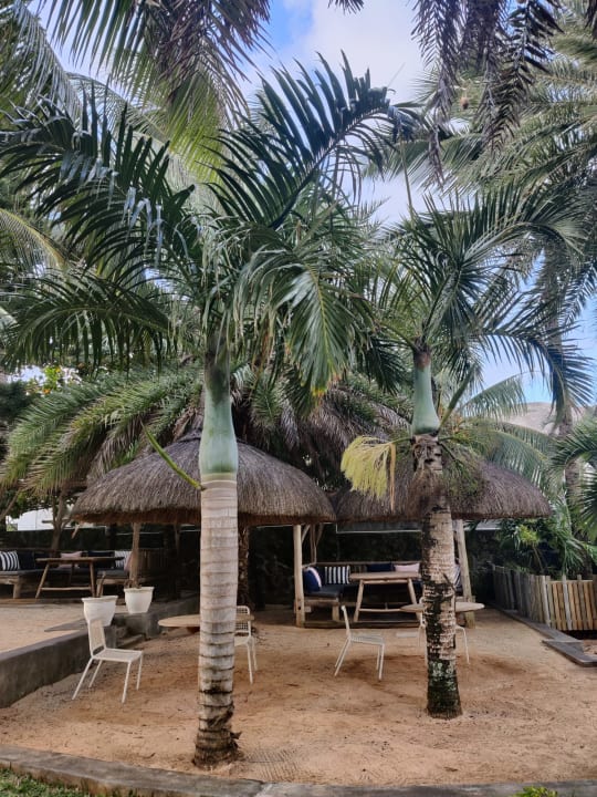 Gartenanlage Friday Attitude