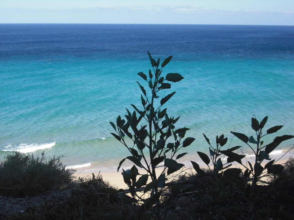 Ausblick vom Balkon (direkter Meerblick) TUI MAGIC LIFE Fuerteventura