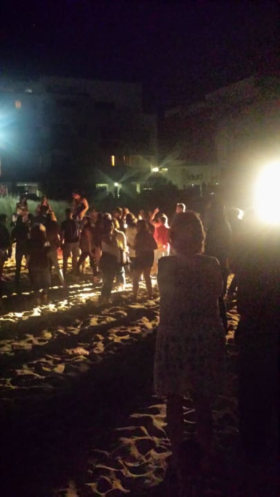 Beachparty Sol Luna Bay