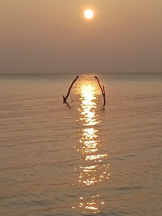 Ausblick Summer Island Maldives