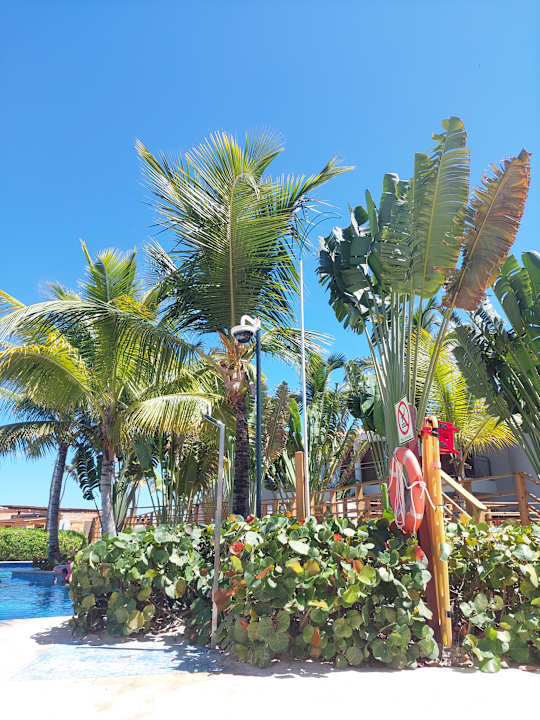 Pool Dreams Flora Resort & Spa - All Inclusive