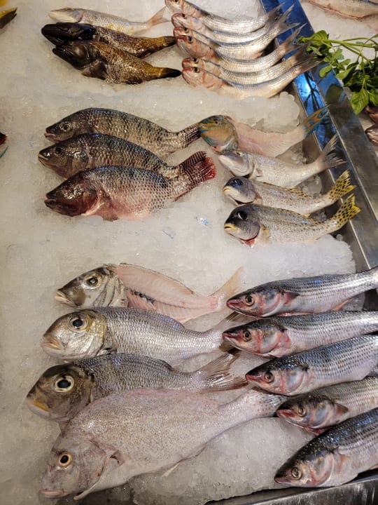 Gastro Club Paradisio El Gouna, Red Sea