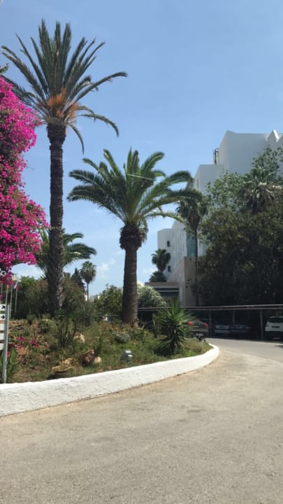 Gartenanlage Hotel Bel Azur Thalasso & Bungalows