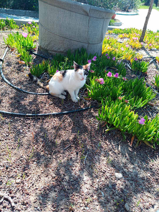 Gartenanlage Ephesia Holiday Beach Club