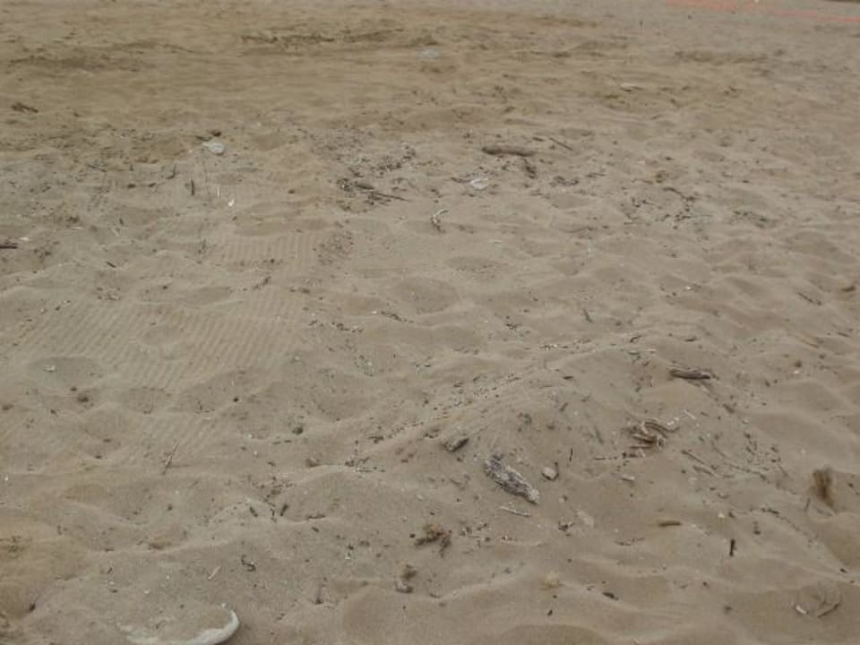 Strand am Hotel Sandy Beach Resort