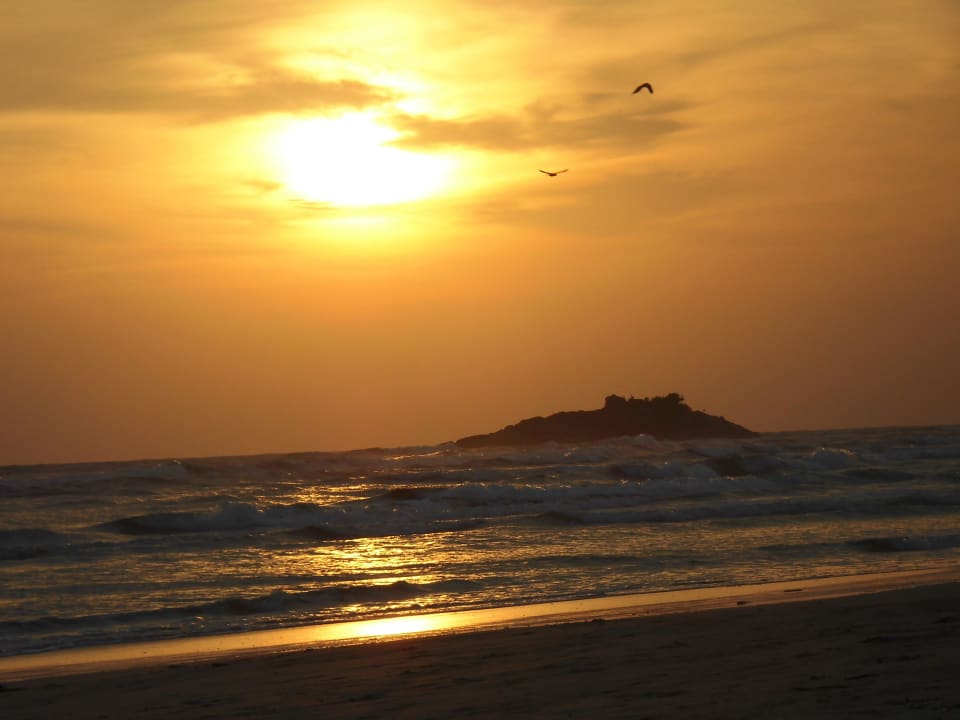 Wünderschöner Sonnenuntergang Occidental Eden Beruwala, a member of Barcelo Hotel Group