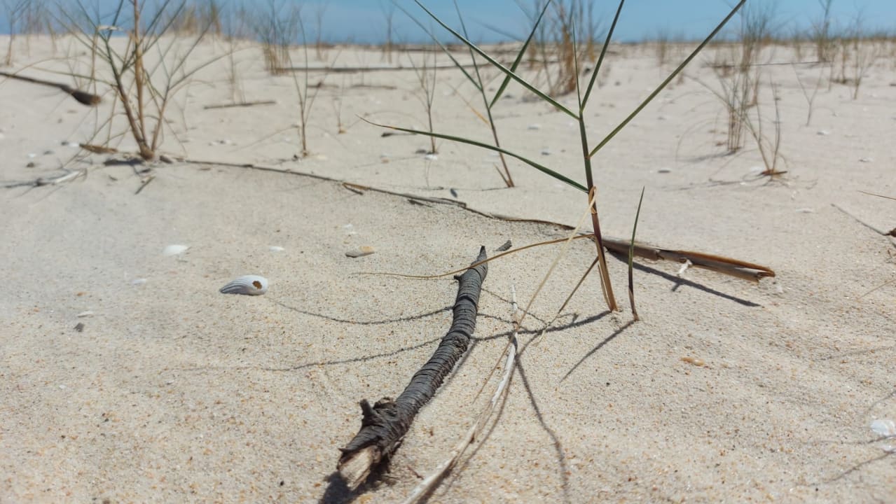 Strand ROBINSON QUINTA DA RIA