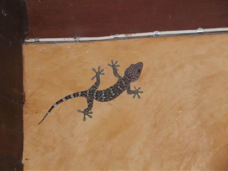 Unser Haustier im BF06 Hotel Thapwarin Resort