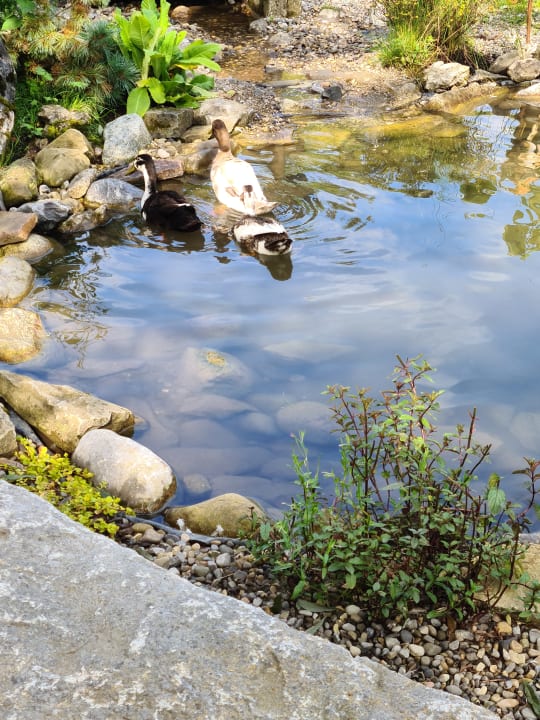 Gartenanlage Biohotel Walser Stuba