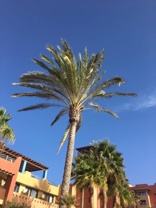 Sonstiges H10 Tindaya