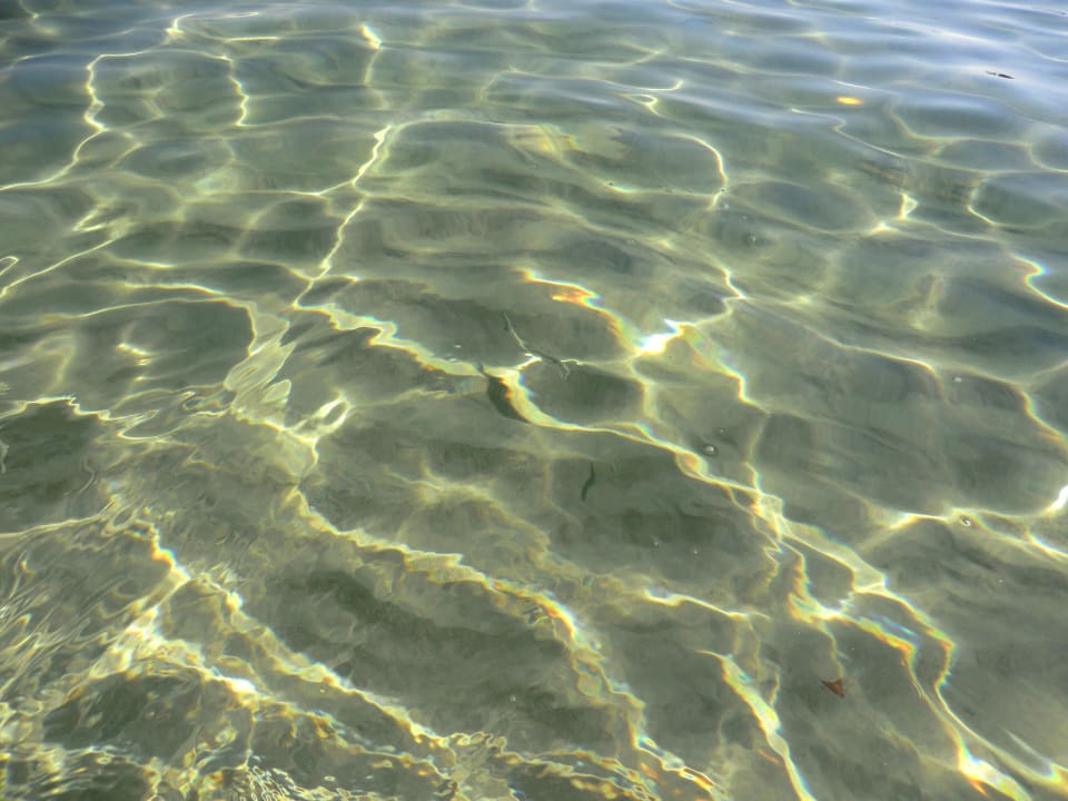 Wasserqualität El Mouradi Club Kantaoui