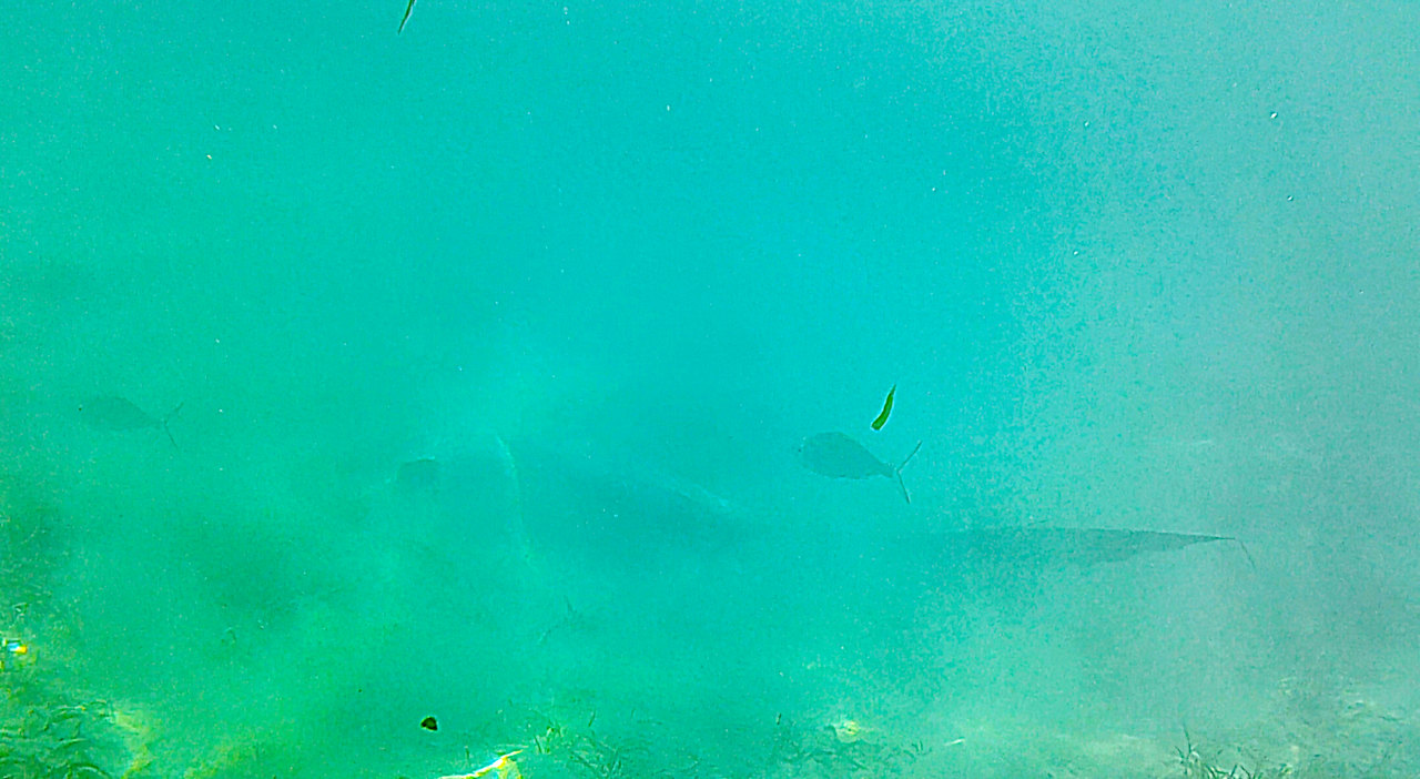 Strand Cinnamon Hakuraa Huraa Maldives