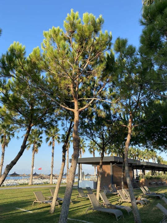 Gastro Voyage Belek Golf & Spa