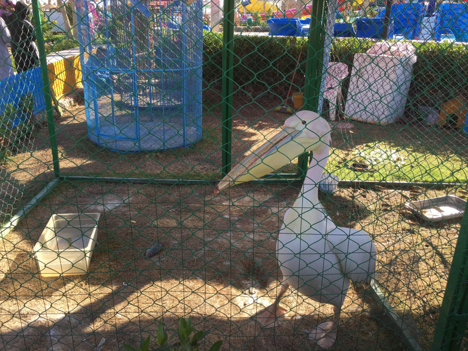 Gartenanlage Riviera Aqua Park Resort