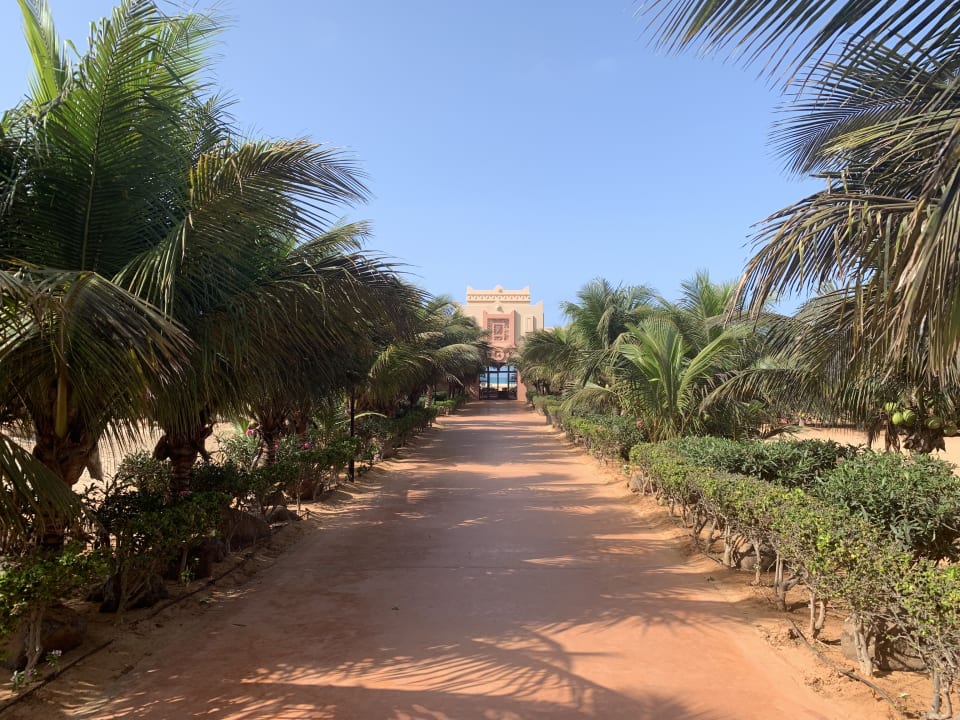 Gartenanlage Hotel Riu Touareg
